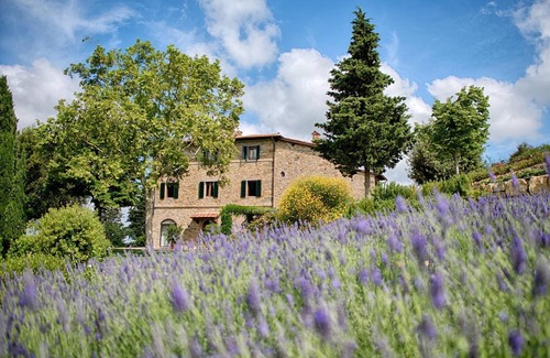 Panzano in Chianti Wohnung | Valletta For Four Rose