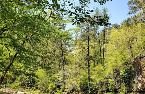 Ranger Kabine | Luxury Chic Cabin Nestled in Talking Rock Creek Resort