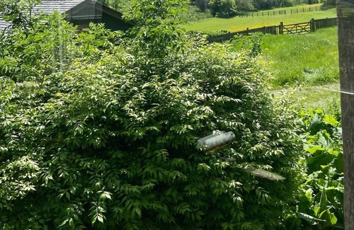 Chazey Heath Haus | Luxury Chilterns Hideaway, easy access to London