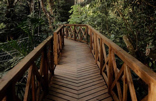 Teakettle Village Resort | Luxury Eco Jungle View Cabana
