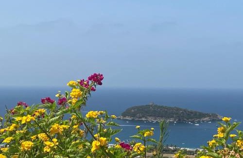 Cucco-Riviere Villa | Luxury Villa Cirella happy island