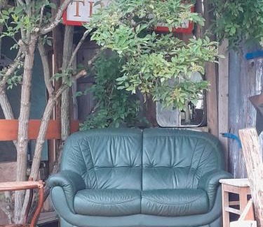 Schoeneberg b. Angermuende Sonstige | Luxuszelt in einer Pferdeherde