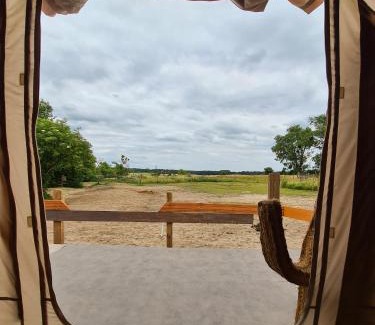 Schoeneberg b. Angermuende Sonstige | Luxuszelt in einer Pferdeherde
