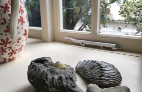 Sydling St Nicholas Haus | Mabel's Cottage