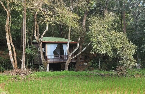 Sirsi Hütte | Machan @ Captain's Camp, Sirsi