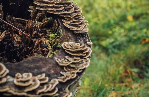 Weld Kabine | Maine Lake House: All Inclusive Lakefront Getaway