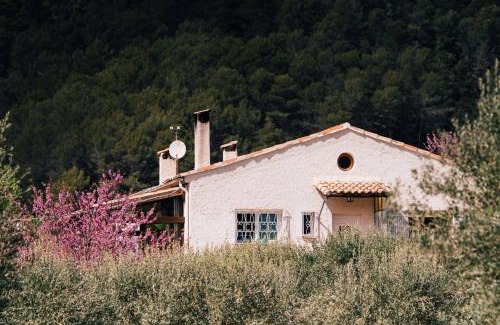 Draguignan Haus | Maison d'hôtes éco-responsable avec piscine 6X12m LIRE L'ANNONCE VOTRE HÔTE SVP
