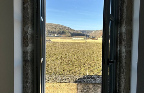 Gevrey-Chambertin Haus | Maison Pierre Contemporaine Avec Charme Avec Piscine