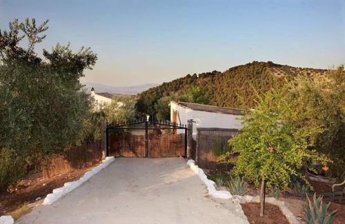 Montefrio Hütte | Mamuyo's Shed