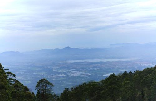 Vattakanal Haus | Manoj Homestay Vattakanal