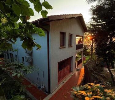 Sapanca Villa | Manzara Ödüllü Büyük Havuzlu Premium Villa