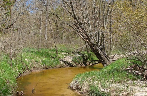 Jim Falls Kabine | Maple Cabin - Beaver Creek Reserve