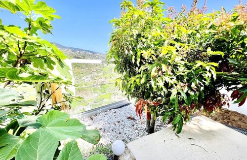Tabua Haus | Mar a Vista by Your Madeira Rentals