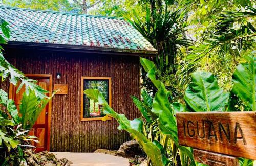 San Antonio Wohnung | Mariposa Jungle Lodge