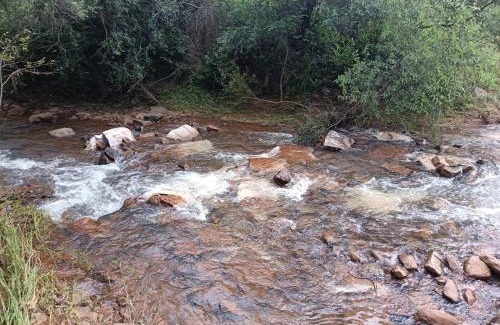 Ramotshere Moiloa Kabine | Marlothii Game Reserve