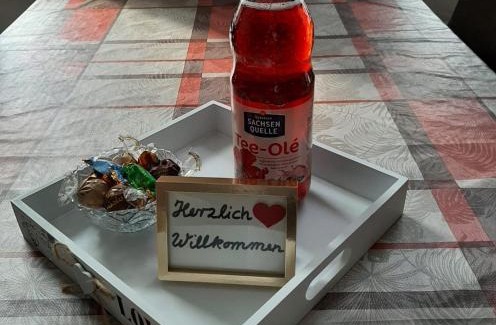 Plauen Wohnung | MARTHA APARTMENTS - Ideal für Familien und Langzeitaufenthalte