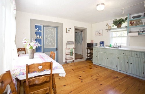 Edgartown Hütte | Martha's Vineyard 1BR, Haustiere ok, 10 Minuten zu Fuß zum Strand oder Edgartowns Geschäften!