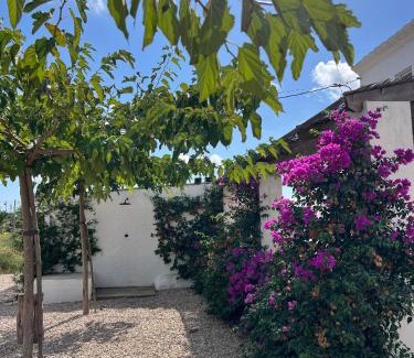 Sant Jaume d'Enveja Haus | Mas Midó