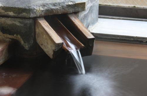 Nozawaonsen Hotel | Masuya Ryokan