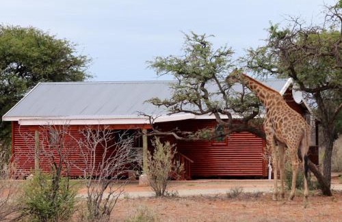 Dikgatlong Sonstige | Mattanu Private Game Reserve