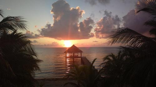 Placencia Hotel | Maya Beach Hotel