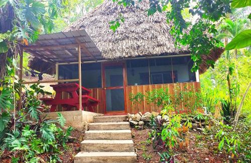 San Ignacio Kabine | Maya Mountain Lodge