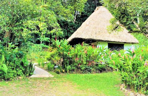 San Ignacio Kabine | Maya Mountain Lodge