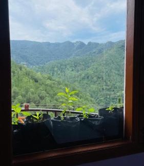 New Shimla Haus | Mayank homestay shimla