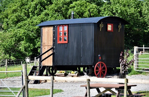 Rhayader Kabine | Meadow Shepherds hut