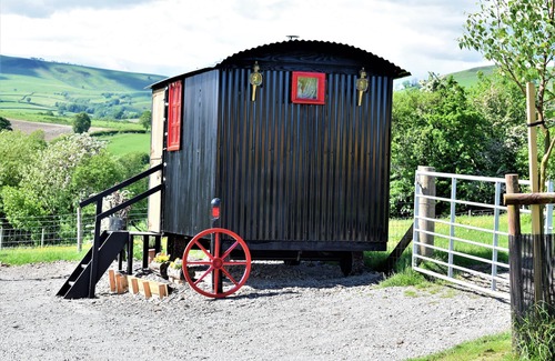 Rhayader Kabine | Meadow Shepherds hut