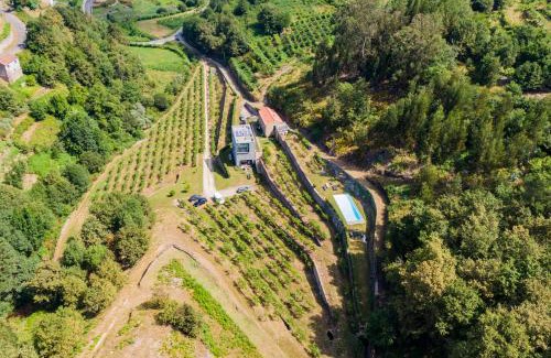 Melgaco Haus | Melgaço Alvarinho Houses