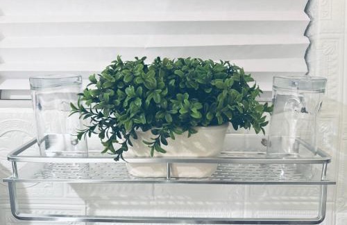 Ludlam Villa | Miami Suite Life