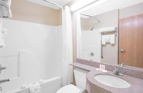 Albertville Hotel | Microtel Inn & Suites by Wyndham Albertville