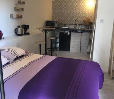 Songeson Haus | Mini gîte Hérisson - 18m2