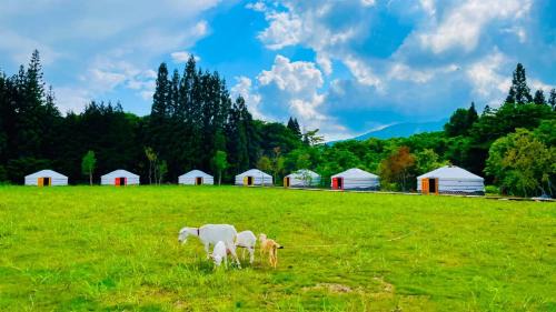 Gujo Sonstige | Mini Mongolian Campsite - Vacation STAY 55337v