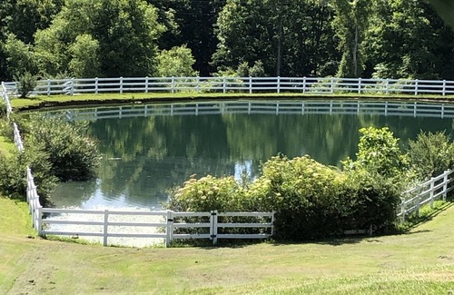 Fayetteville Haus | Minutes from New River Gorge! Country setting - great for families and friends!