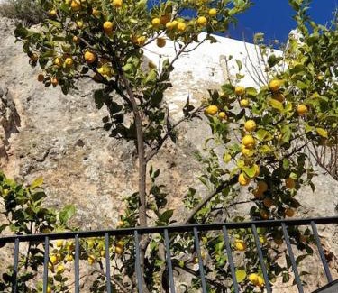 Olvera Haus | Mirador del Olivar