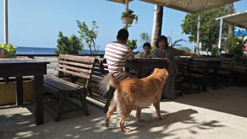 Eluan Haus | Mishe B&B也可包棟民宿