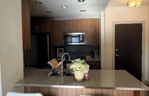 Downtown Wohnung | Modern 1BR in Silver Spring
