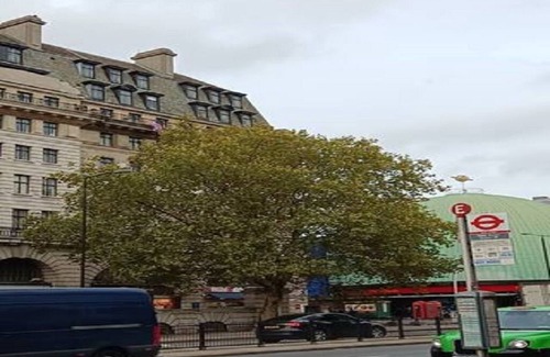 Bryanston and Dorset Square Wohnung | Modern 3 Bed Spacious Apartment with High Ceilings. Opp London's Madame Tussaud