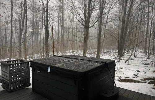 Petoskey Haus | Modern Home of Style & Comfort!