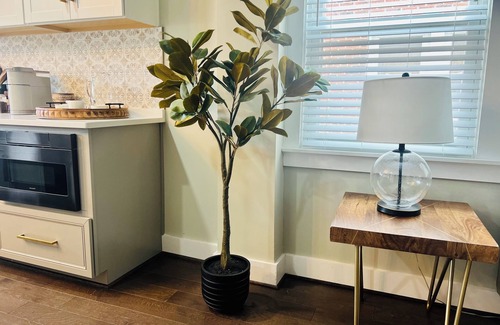 Brookland Haus | Modern & Luxurious, Brookland DC