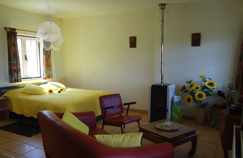 Vila Pouca da Beira Wohnung | Modernes, 48 m² großes Apartment zur Selbstverpflegung mit Pool und Gartenblick für 3 Personen