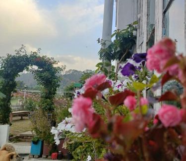 Sukha Haus | Mohraj home stay