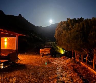 Marmara Sonstige | MOLA Bungalow