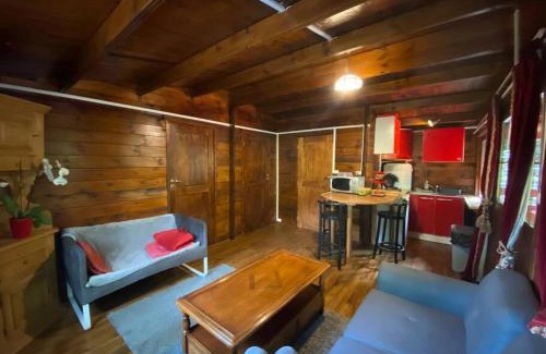 Villard-Saint-Sauveur Skihütte | Mon Chalet dans les bois