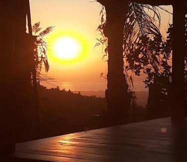 Sukasada Haus | Mona‘s Tiny Djungle House