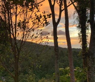 Sukasada Haus | Mona‘s Tiny Djungle House