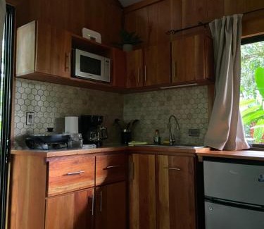 Monterrey Wohnung | Monkey House, Monterrey