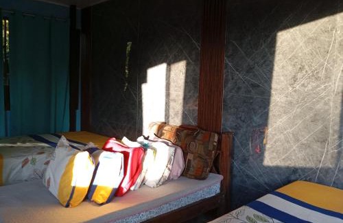 Manuel Antonio Wohnung | Mono titi third floor
